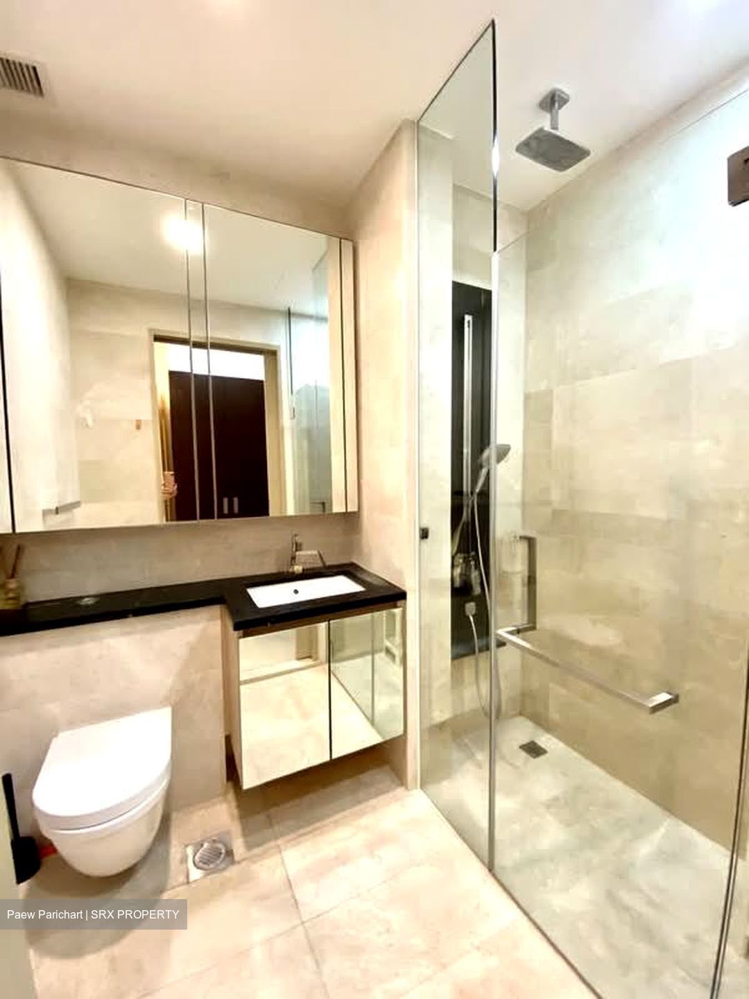 The Boutiq (D9), Apartment #559670471